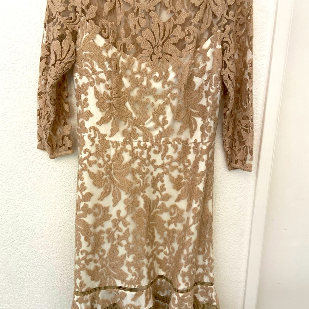 Tadashi Shoji beige lace overlay on cream satin.